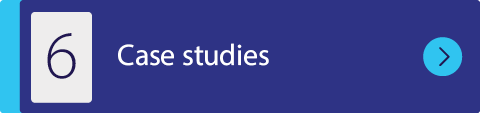 6,Case studie