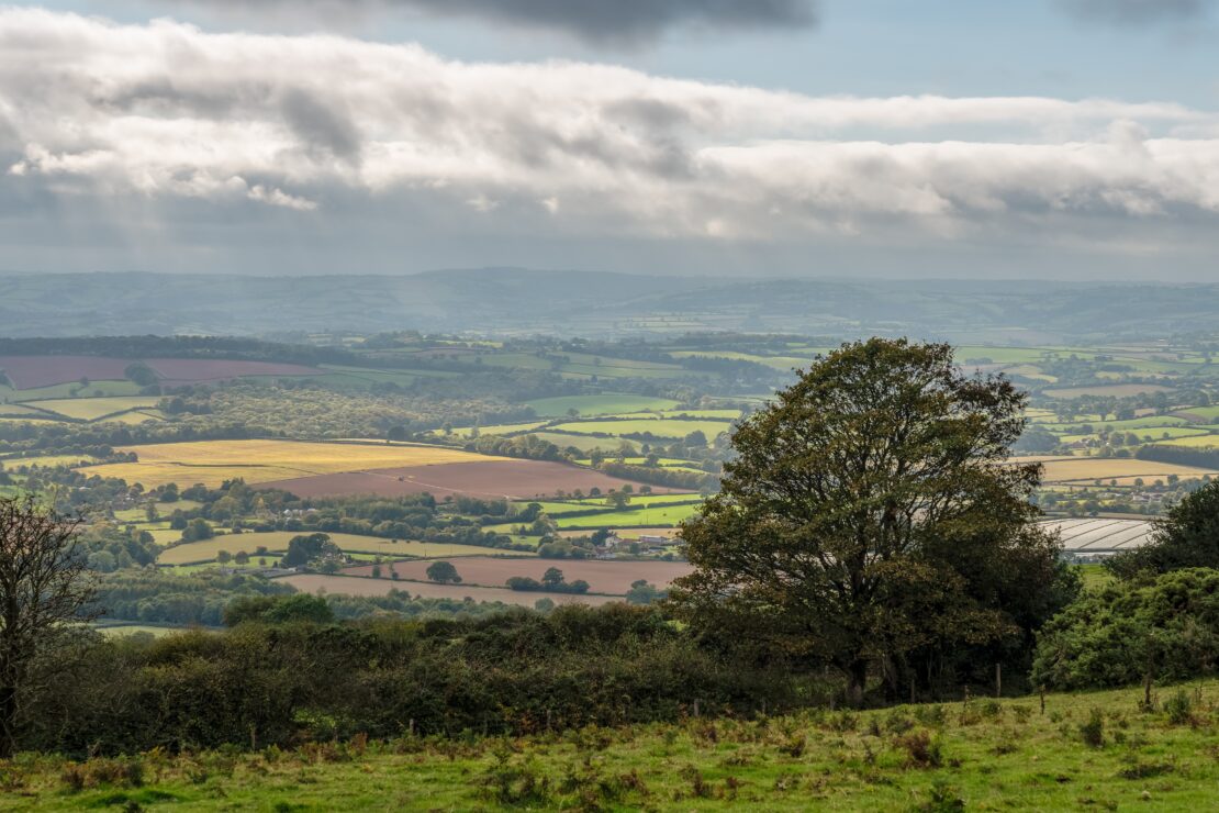 Somerset countryside rural scene